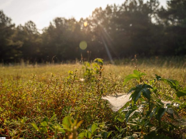 01 Spring Valley Road Lot 1, Liberty, SC 29657