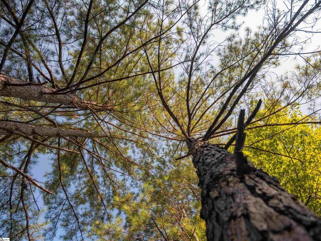 01 Spring Valley Road Lot 1, Liberty, SC 29657