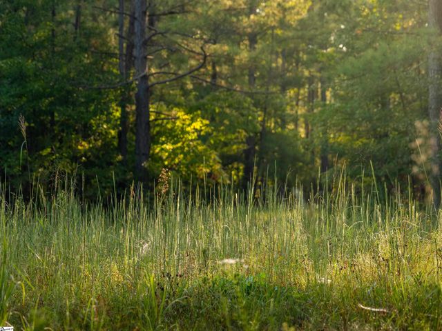 01 Spring Valley Road Lot 1, Liberty, SC 29657