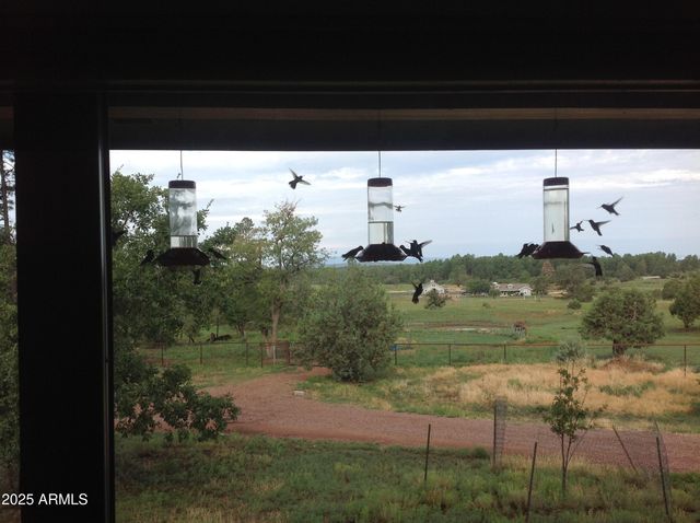 131 W Hunt Ranch Road, Pine, AZ 85544