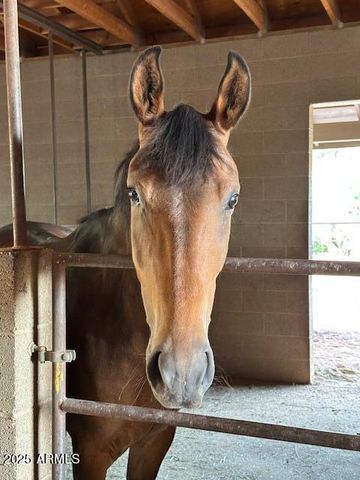 131 W Hunt Ranch Road, Pine, AZ 85544