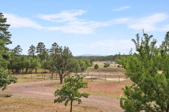 131 W Hunt Ranch Road, Pine, AZ 85544