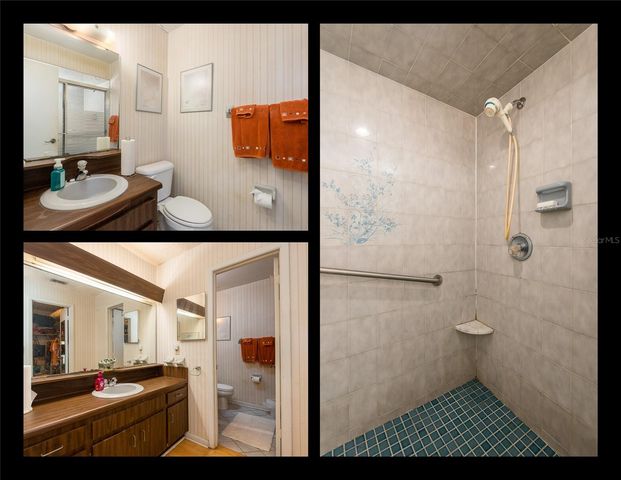 6809 TWELVE OAKS BOULEVARD, Tampa, FL 33634