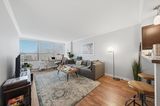 1560 N Sandburg Terrace 509J, Chicago, IL 60610