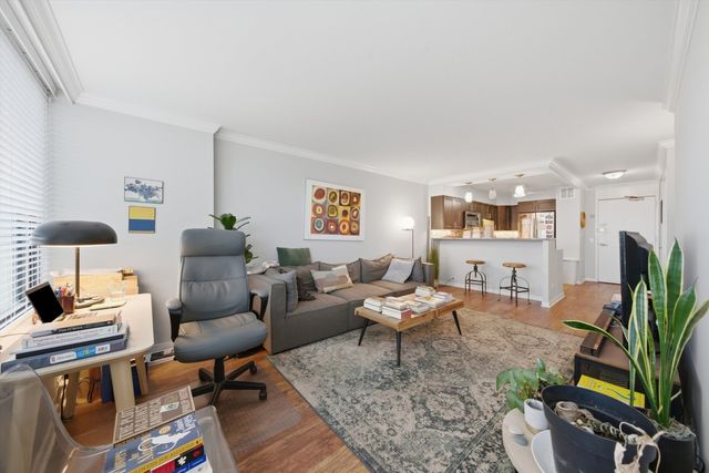 1560 N Sandburg Terrace 509J, Chicago, IL 60610