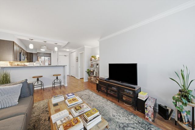 1560 N Sandburg Terrace 509J, Chicago, IL 60610