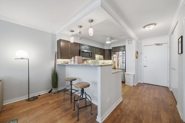 1560 N Sandburg Terrace 509J, Chicago, IL 60610