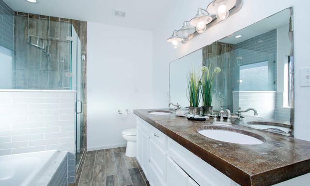 12749 Lake Conroe Hills Drive, Willis, TX 77318