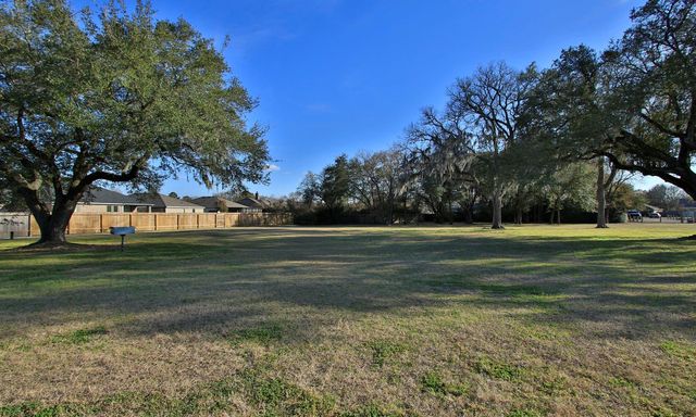 12749 Lake Conroe Hills Drive, Willis, TX 77318