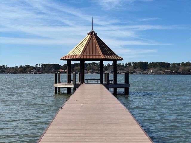 12749 Lake Conroe Hills Drive, Willis, TX 77318