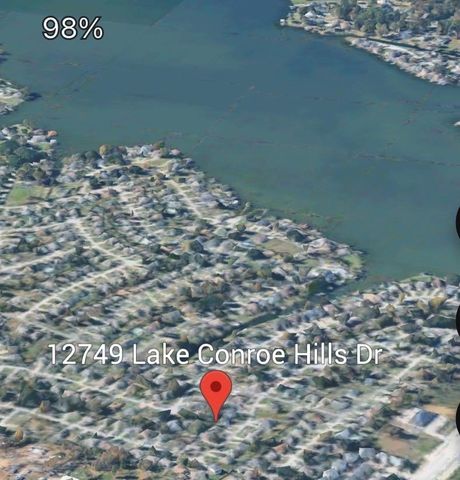 12749 Lake Conroe Hills Drive, Willis, TX 77318