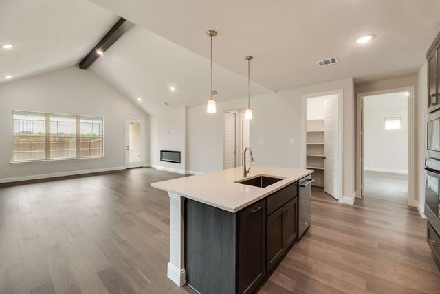 1055 Birdie Street, Gunter, TX 75058