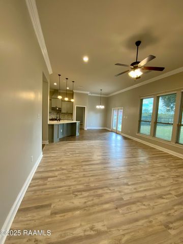 110 Terrace Oak Lane, Broussard, LA 70518