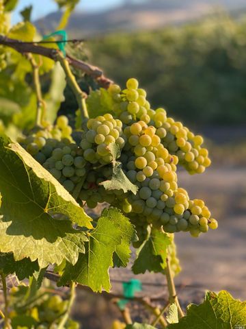 4144 Green Valley Rd, Fairfield, CA 94534