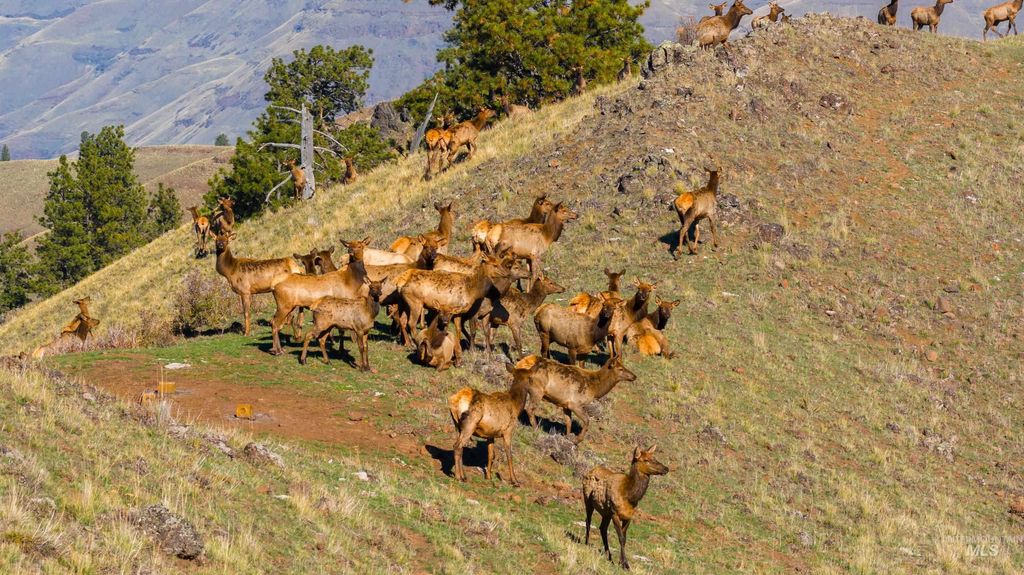 TBD Tbd, CottonWood, ID 83522 photo 13