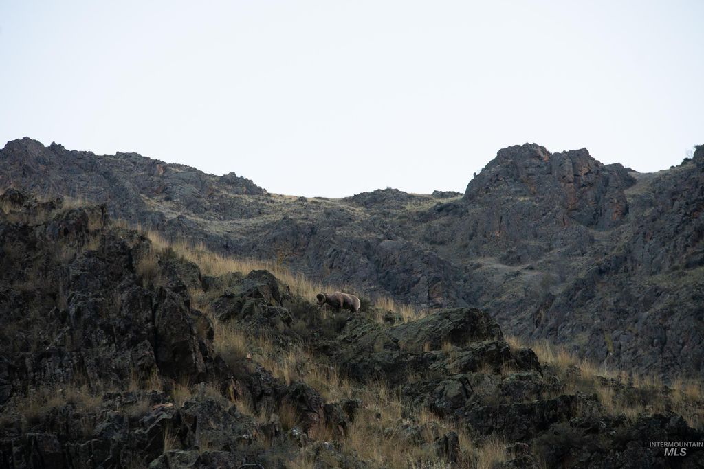 TBD Tbd, CottonWood, ID 83522 photo 14