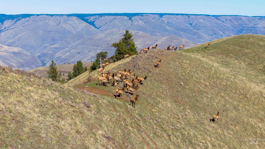 TBD Tbd, CottonWood, ID 83522 photo 15