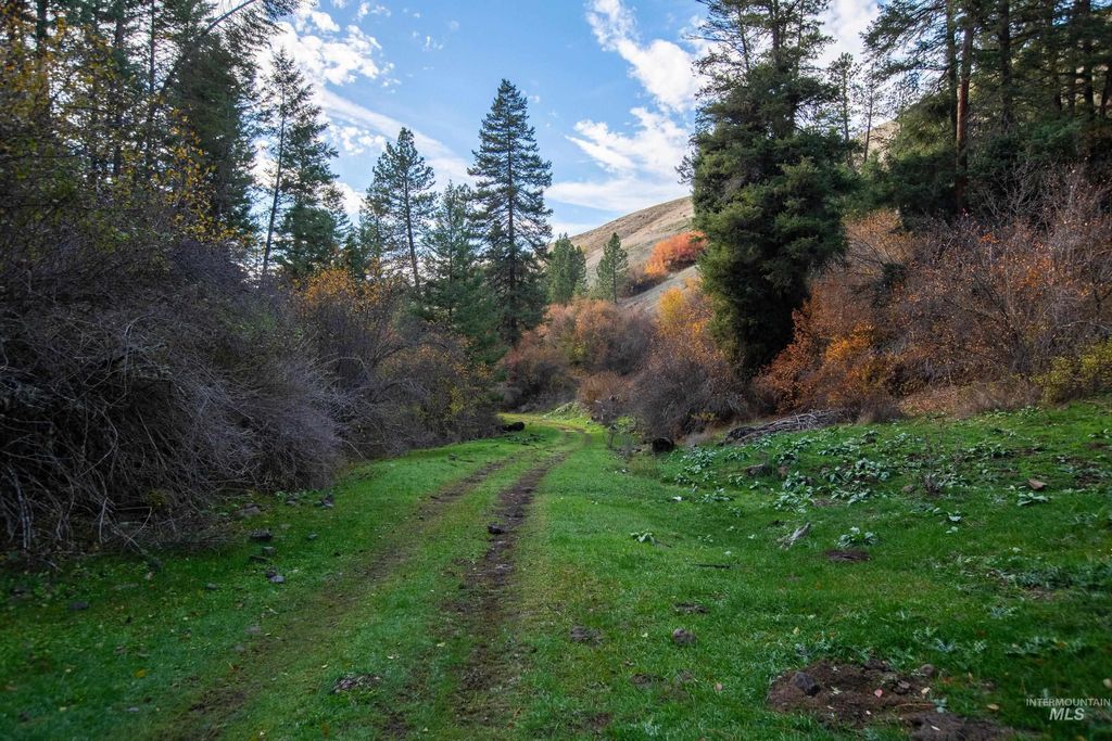 TBD Tbd, CottonWood, ID 83522 photo 19