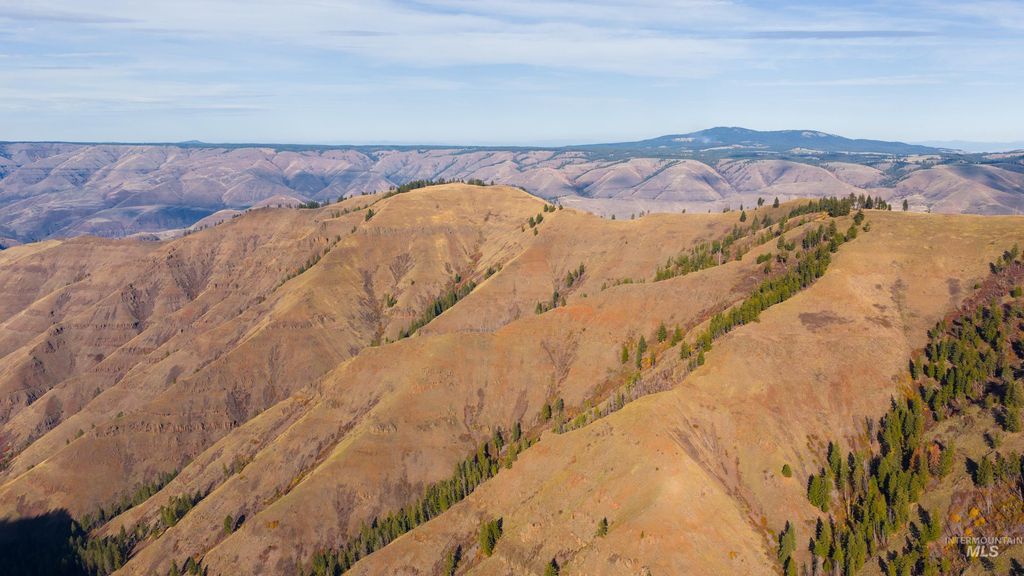 TBD Tbd, CottonWood, ID 83522 photo 22