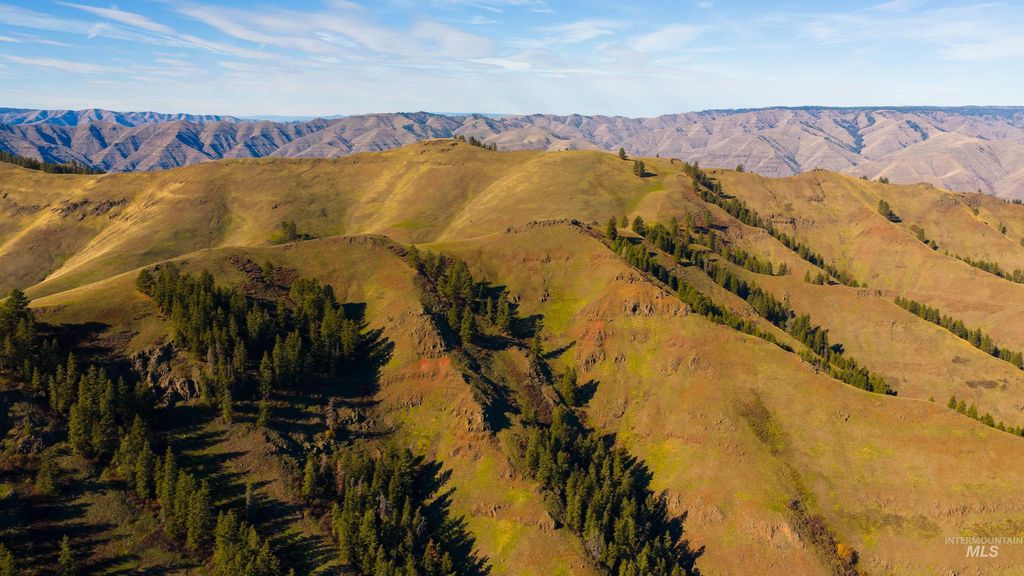 TBD Tbd, CottonWood, ID 83522 photo 28