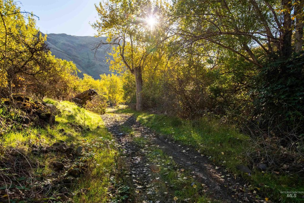 TBD Tbd, CottonWood, ID 83522 photo 29