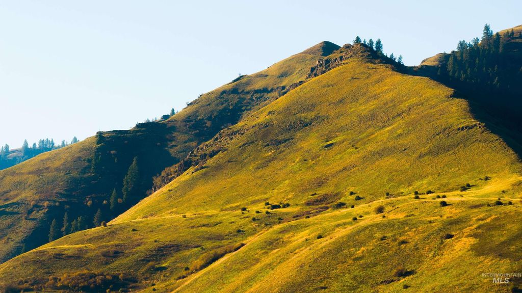 TBD Tbd, CottonWood, ID 83522 photo 30