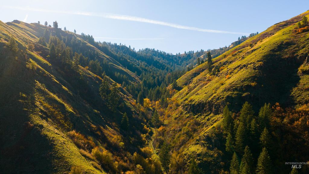 TBD Tbd, CottonWood, ID 83522 photo 39