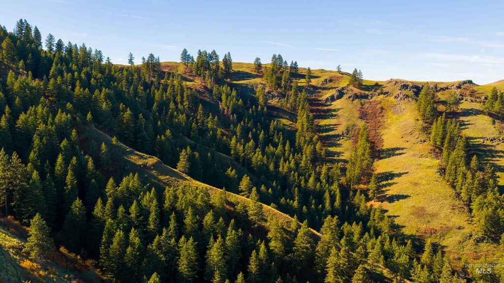 TBD Tbd, CottonWood, ID 83522 photo 45