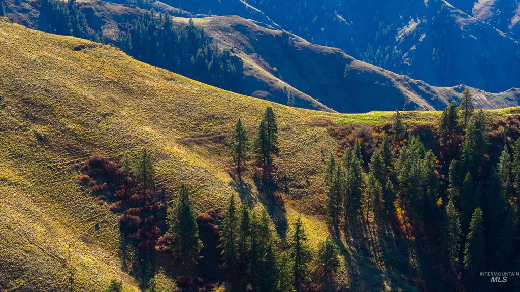 TBD Tbd, CottonWood, ID 83522 photo 47