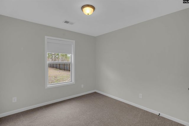 819 Winter Flower Drive, Lexington, SC 29073