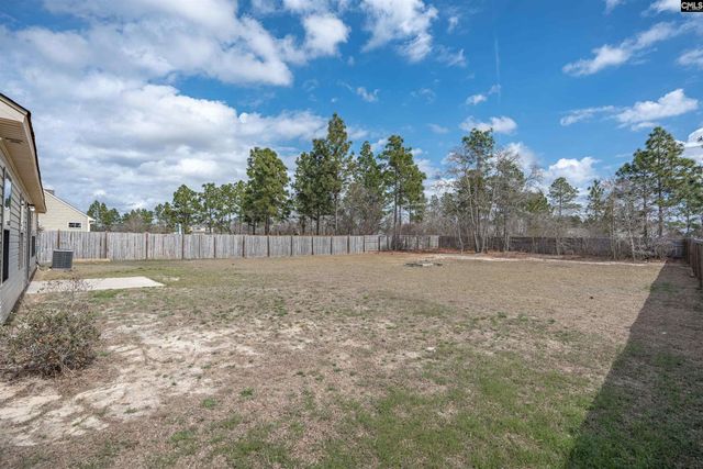 819 Winter Flower Drive, Lexington, SC 29073