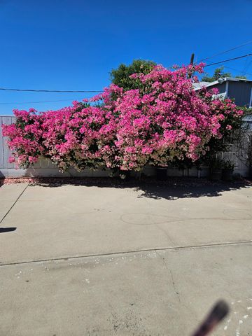 424 Poplar Ave, Manteca, CA 95336