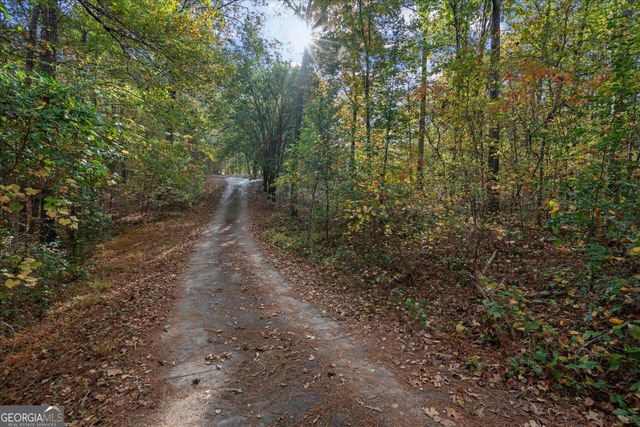 75 Mcdonald Road, Tallapoosa, GA 30176