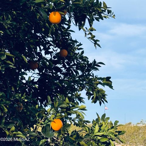 30239 E Little Crow Road, Marana, AZ 85658