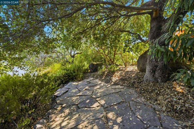 20 Surmont Ct, Lafayette, CA 94549