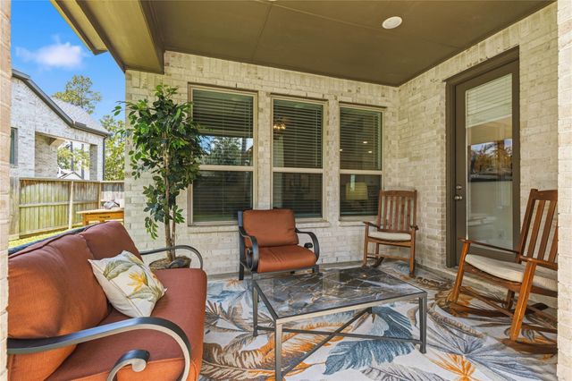 414 Soapberry Tree Court, Willis, TX 77318