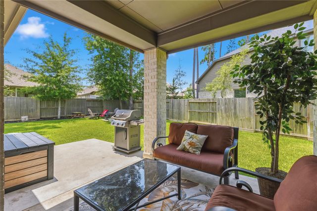 414 Soapberry Tree Court, Willis, TX 77318