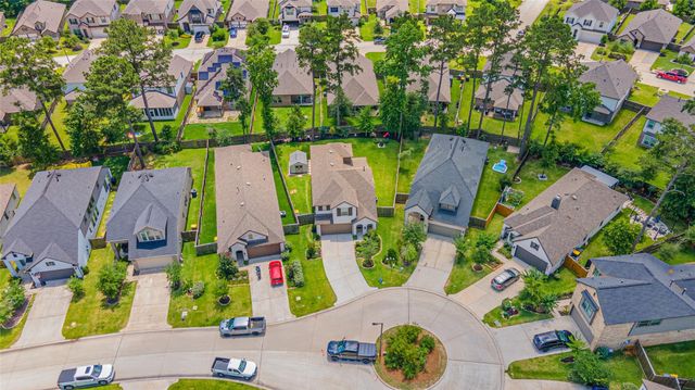 414 Soapberry Tree Court, Willis, TX 77318