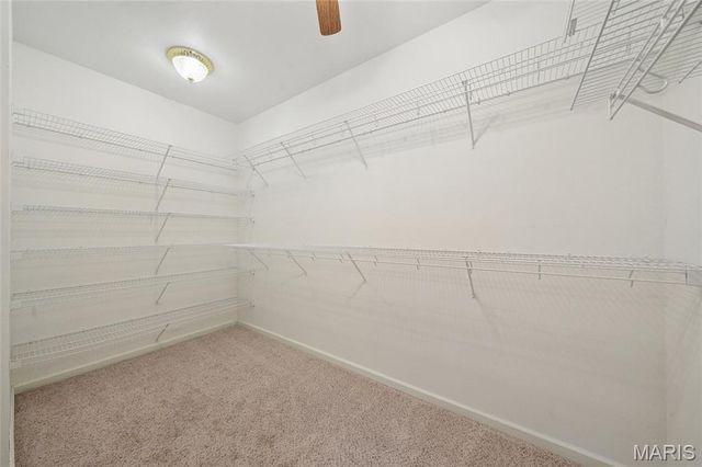 101 W Lakeview Drive, De Soto, MO 63020