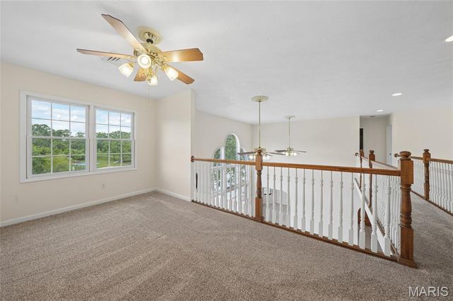 101 W Lakeview Drive, De Soto, MO 63020
