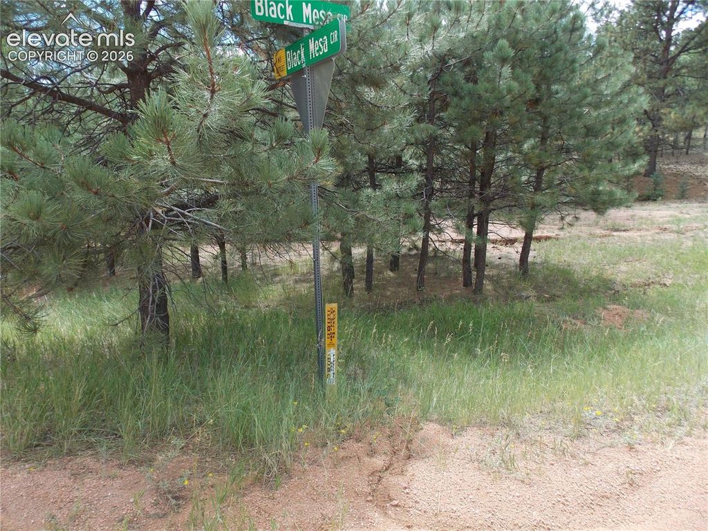 738 Black Mesa Circle, Florissant, CO 80816 — exterior