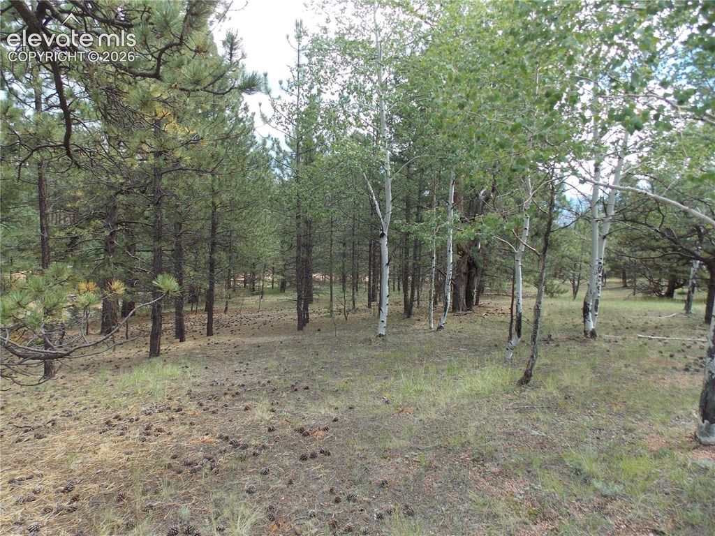 738 Black Mesa Circle, Florissant, CO 80816 — photo 3