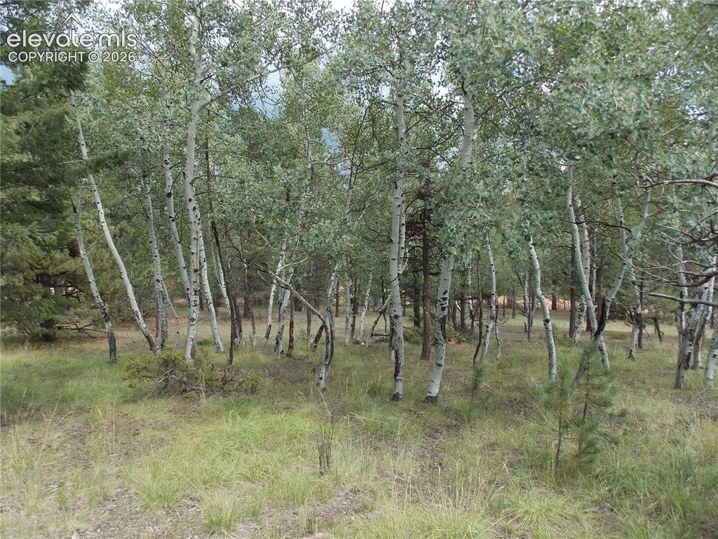 738 Black Mesa Circle, Florissant, CO 80816 — photo 4