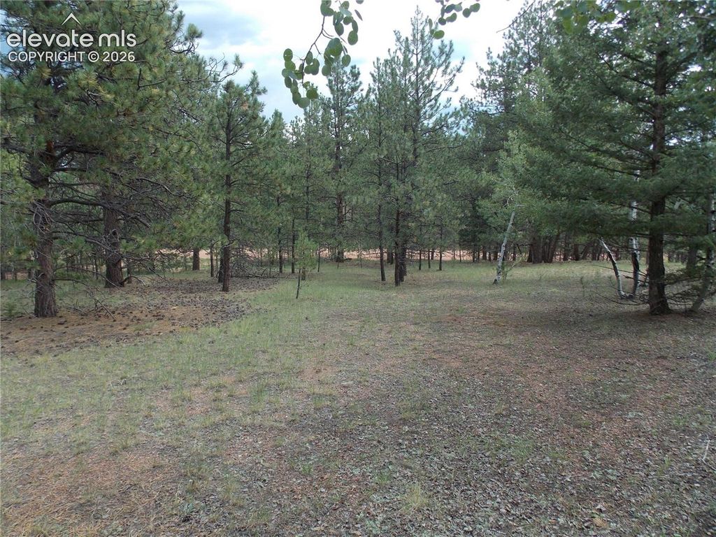 738 Black Mesa Circle, Florissant, CO 80816 — photo 5