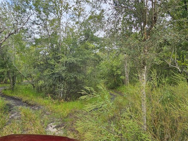 9125 BIGELOW AVENUE, Webster, FL 33597