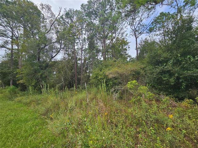 9125 BIGELOW AVENUE, Webster, FL 33597