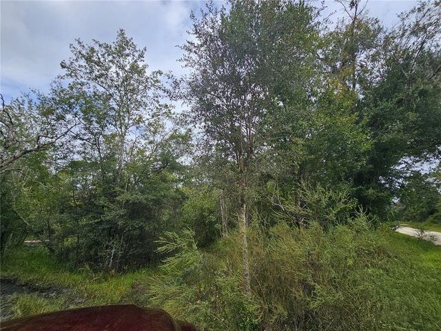 9125 BIGELOW AVENUE, Webster, FL 33597