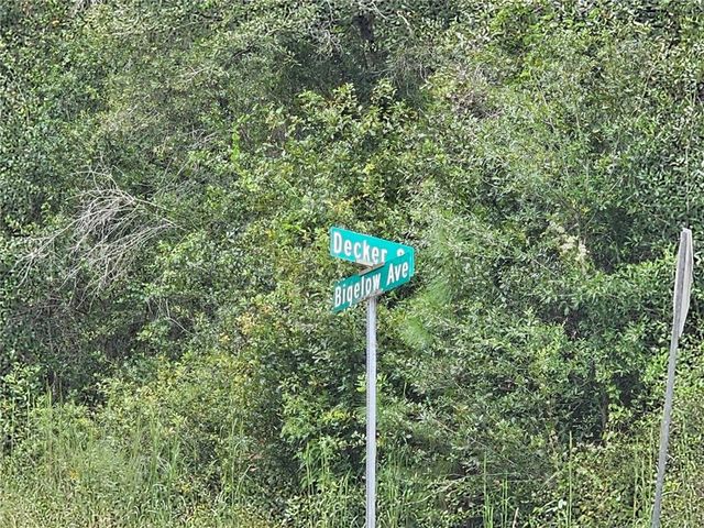 9125 BIGELOW AVENUE, Webster, FL 33597