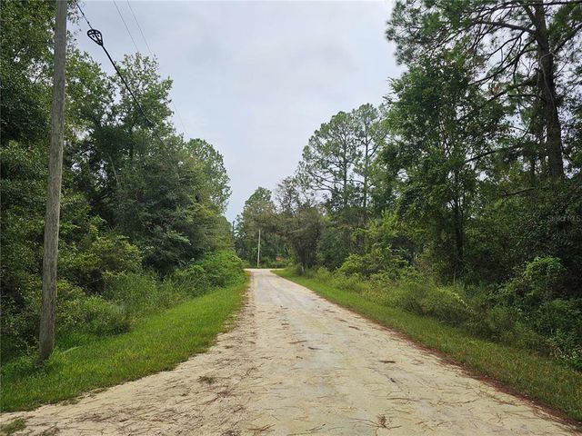 9125 BIGELOW AVENUE, Webster, FL 33597