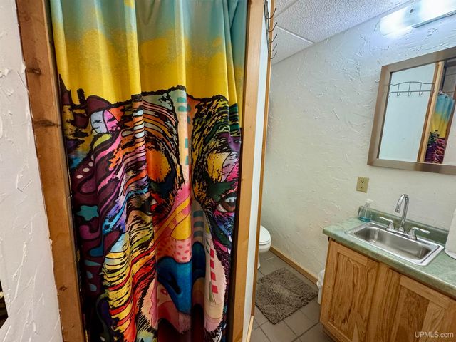 1474 Deer Lake Road, Crystal Falls, MI 49920